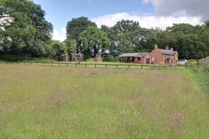 Paddock- click for photo gallery